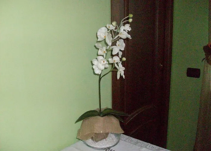 Finestre Di Langa Agroturismo